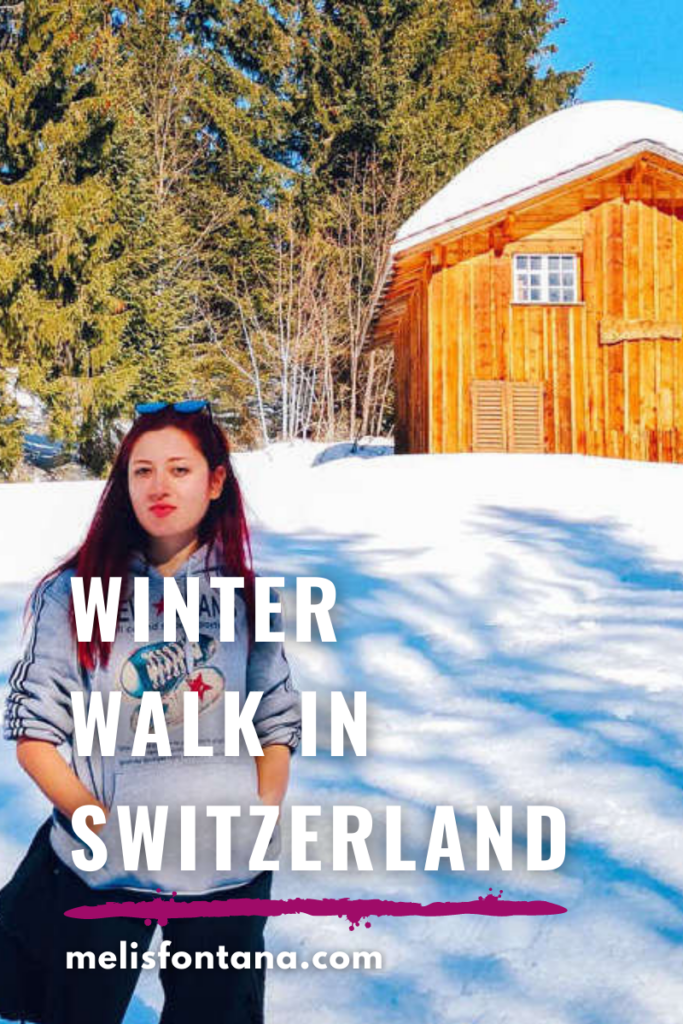 Amden Switzerland Travel Guide | Hinter Höhi Winter Walk