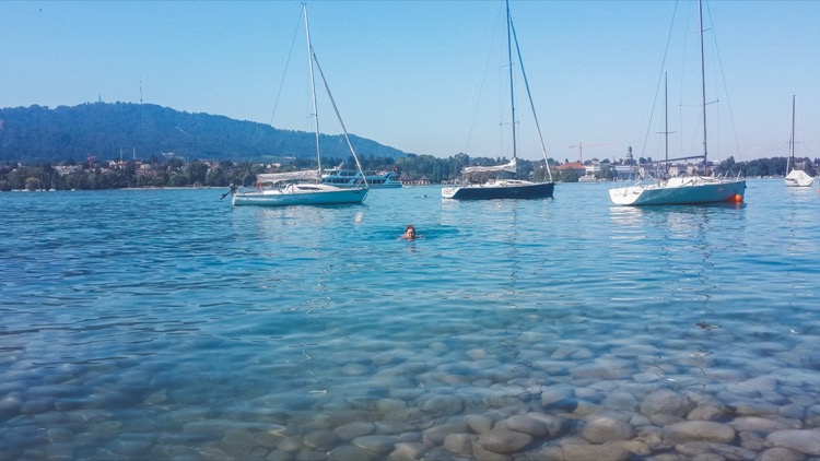 Swimming in lake zurich