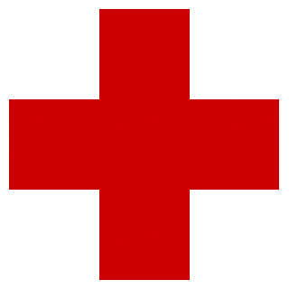 Red cross flag and Switzerland flag