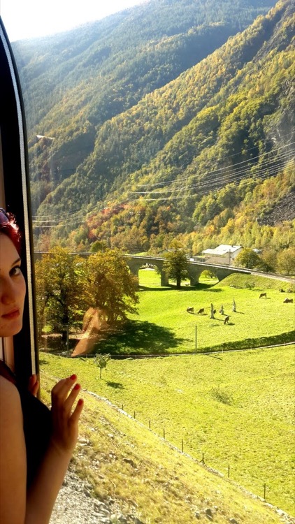 Bernina Express Window