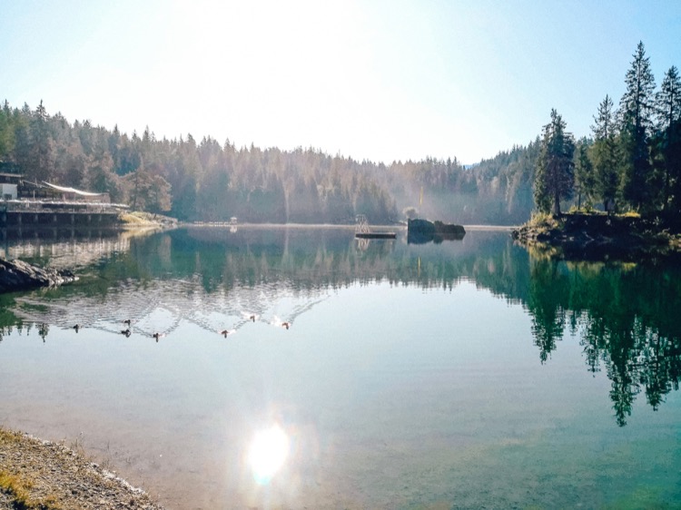 Caumasee İsviçre ördekler