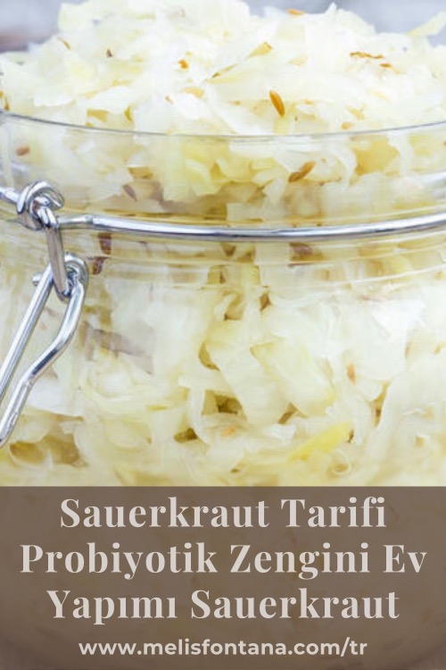 Sauerkraut Tarifi | Probiyotik Zengini Ev Yapımı Sauerkraut